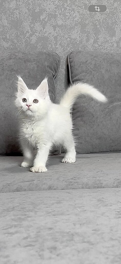 Photo 2025 12 17 19 31 38