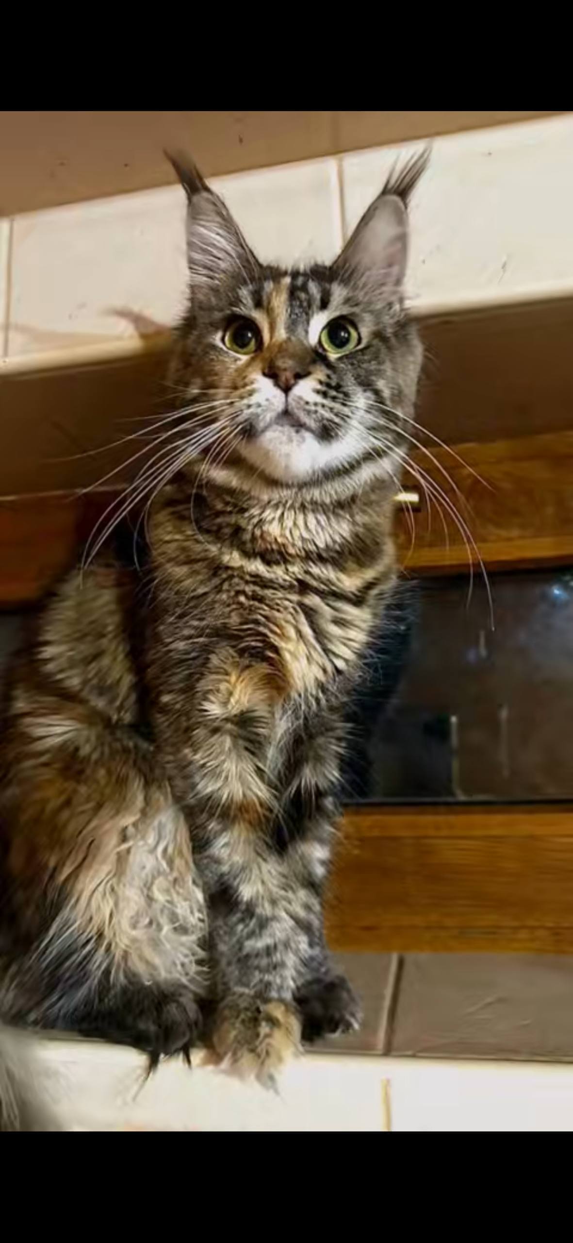 Photo 2025 12 18 22.00.26