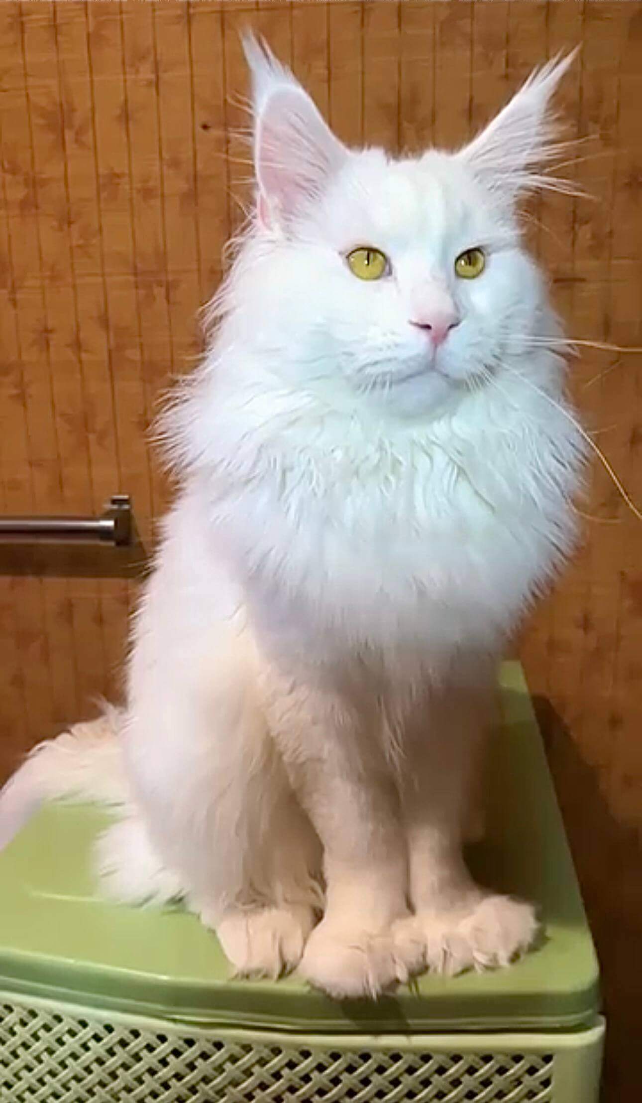 Photo 2025 12 18 22.00.34