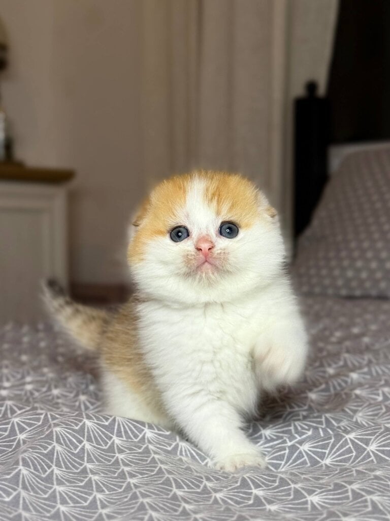 Photo 2025 12 18 19 20 41