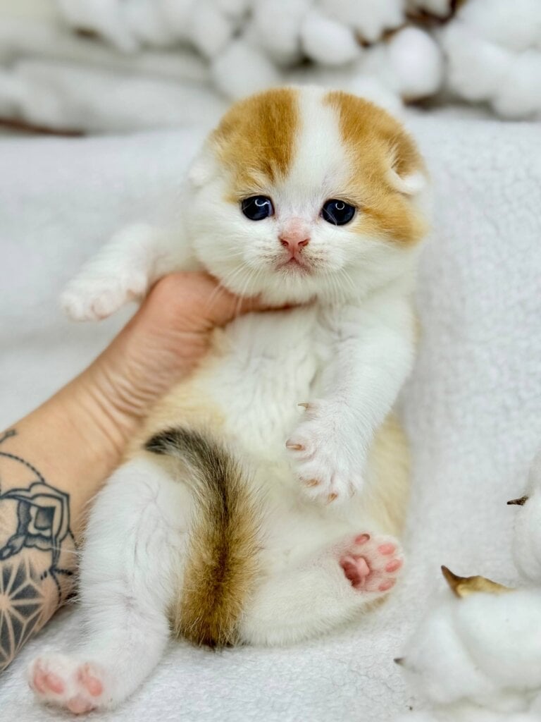 Photo 2025 12 18 19 24 20