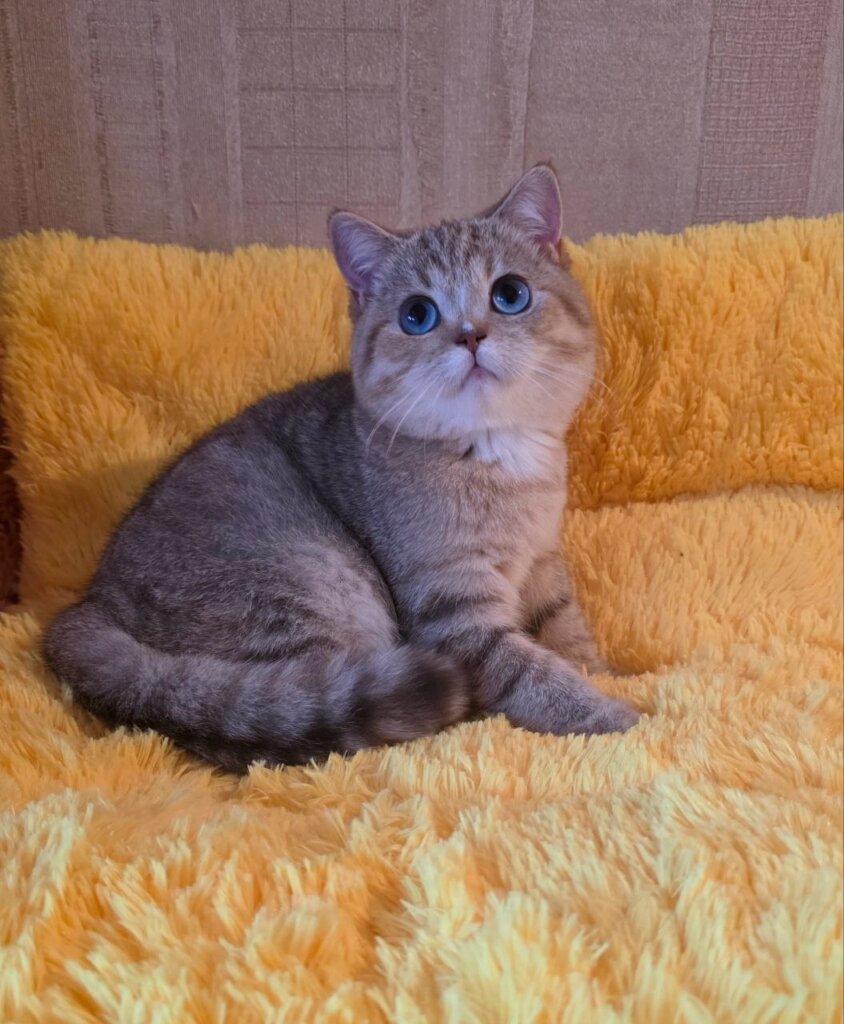 Photo 2025 12 19 21 40 57 5