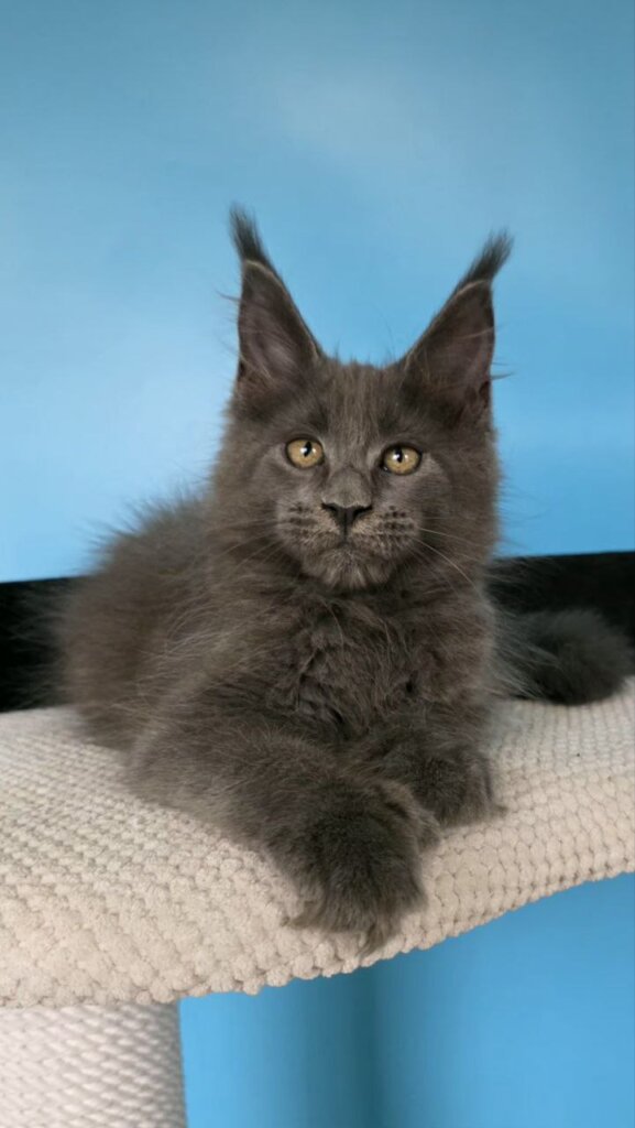 Photo 2025 12 20 21 34 24 2