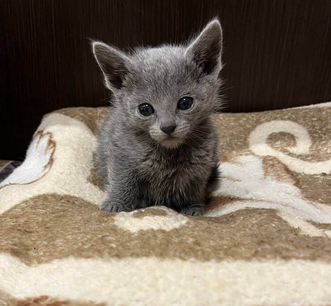 Photo 2025 12 22 22 20 48