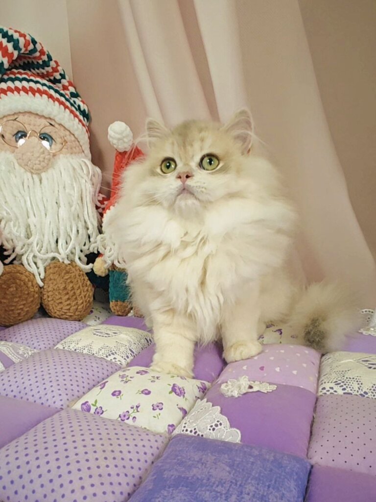 Photo 2025 12 23 12 39 50