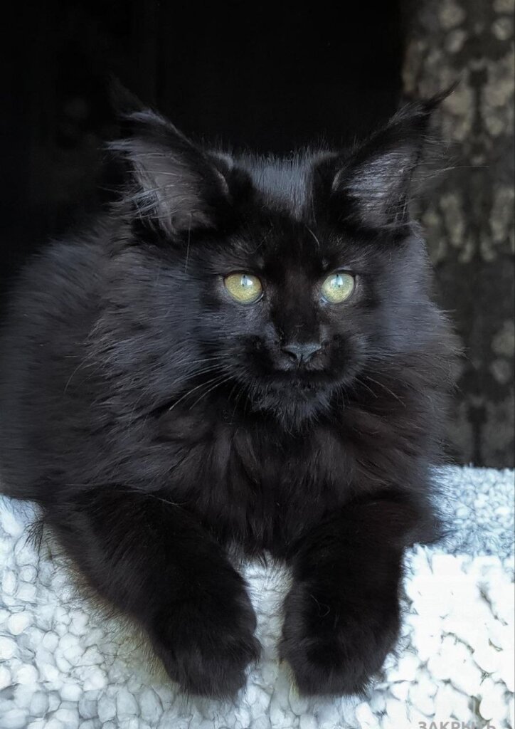 Photo 2025 12 25 13 22 38