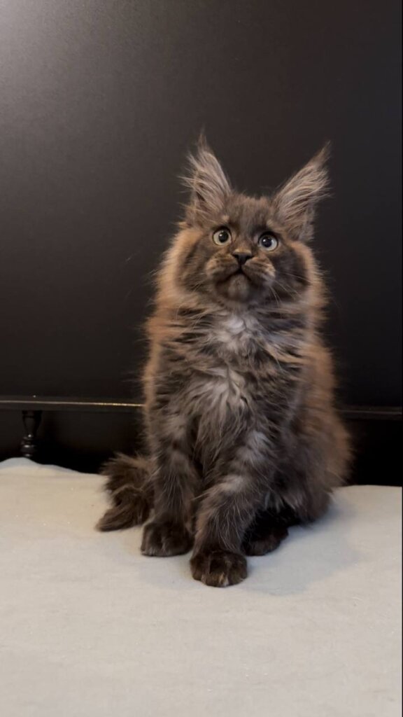 Photo 2025 12 25 21 34 13