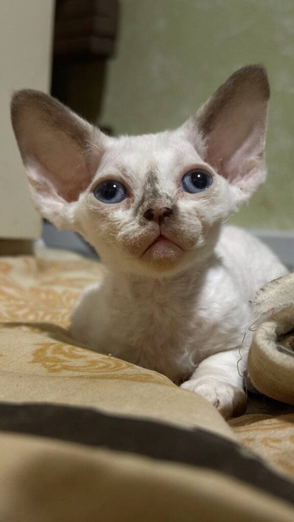 Photo 2025 12 26 00 37 52 2