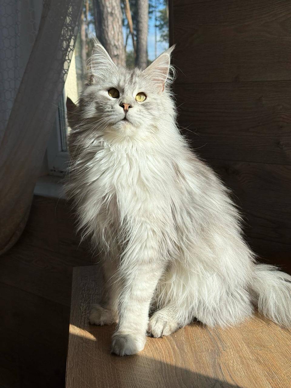 Photo 2025 12 28 10 44 27