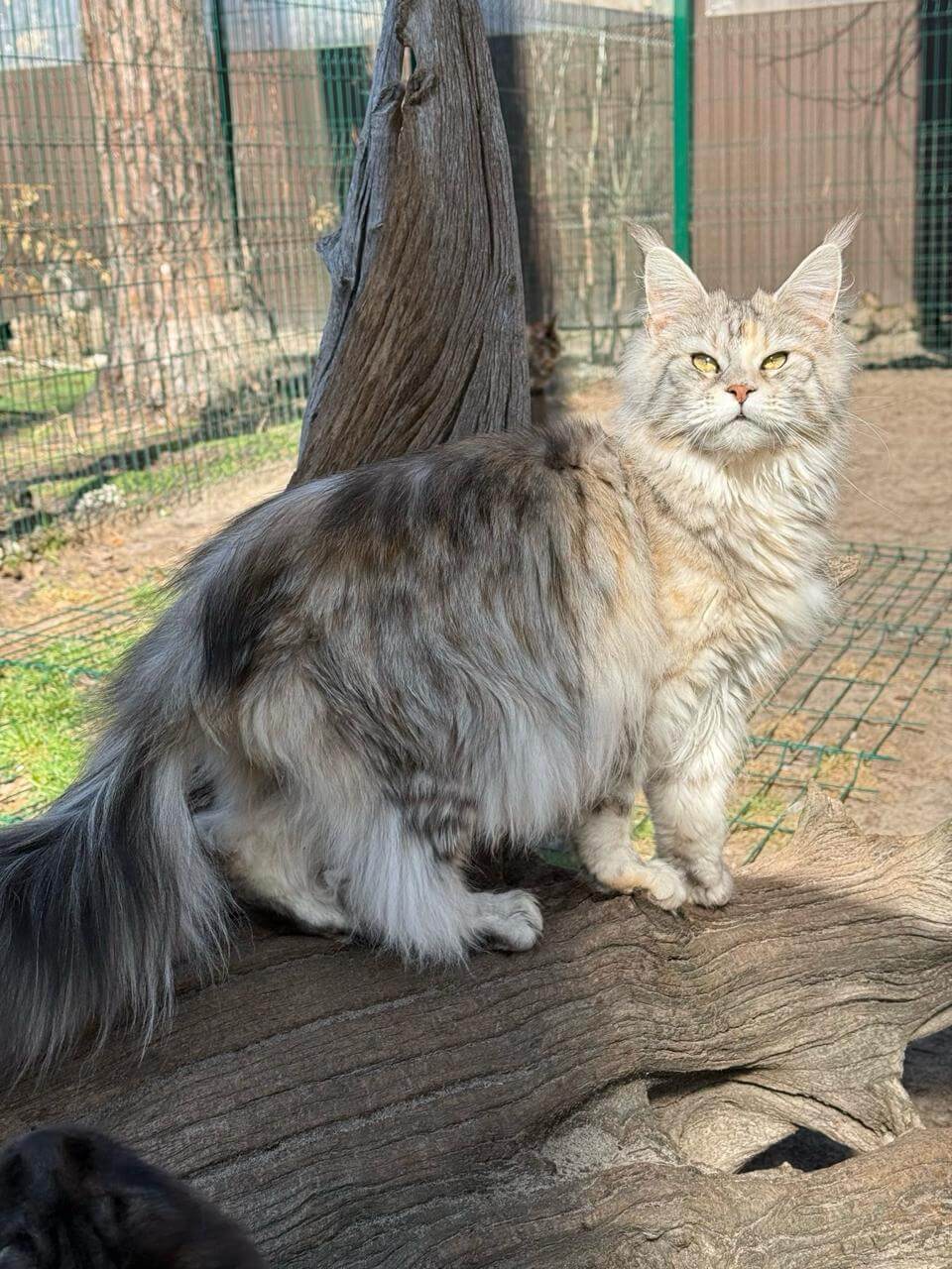 Photo 2025 12 28 10 44 28