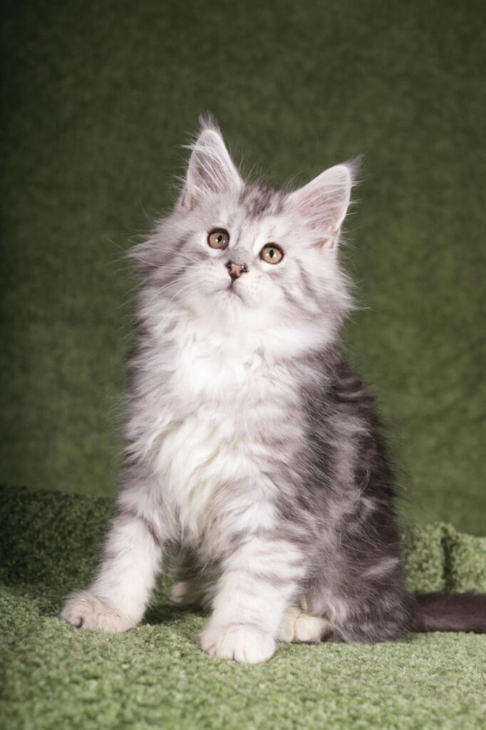 Photo 2025 12 28 21 30 04