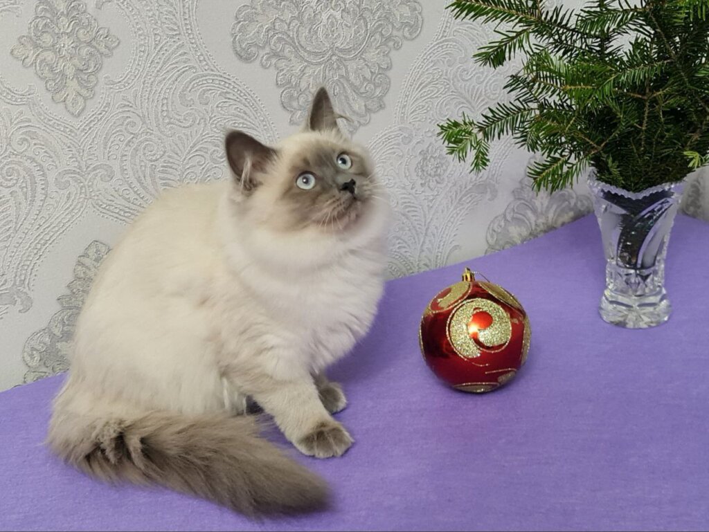 Photo 2026 01 03 22 25 38