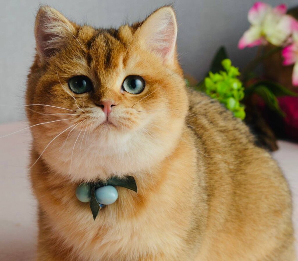 Photo 2026 01 22 19 15 20