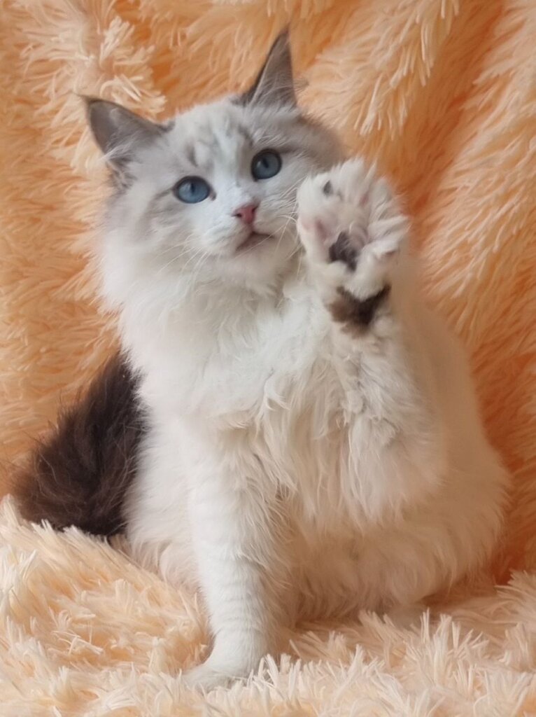 Photo 2026 02 04 19 02 42