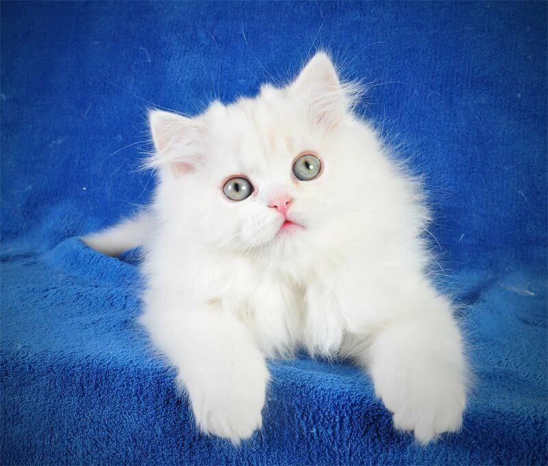 Photo 2026 02 13 13 05 05