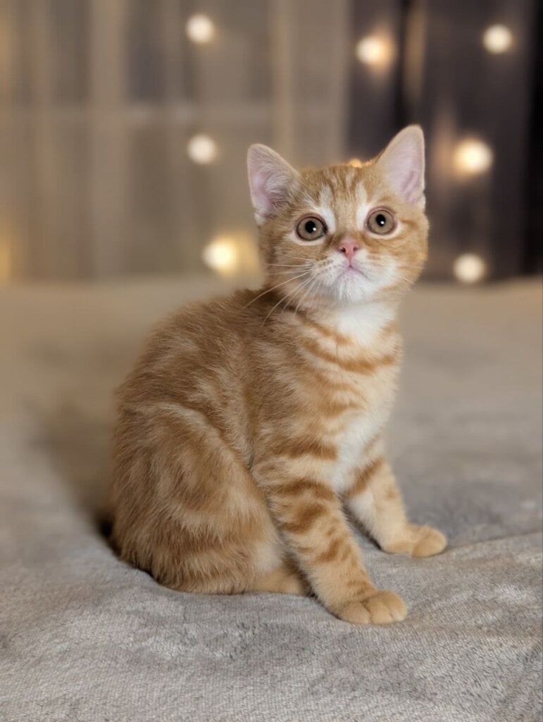 Photo 2026 02 15 18 20 56 2