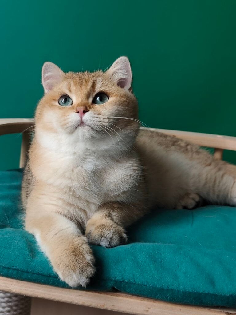 Photo 2026 02 16 18.25.46 1