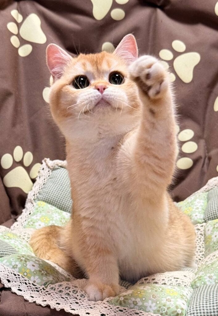 Photo 2026 02 17 16 23 46