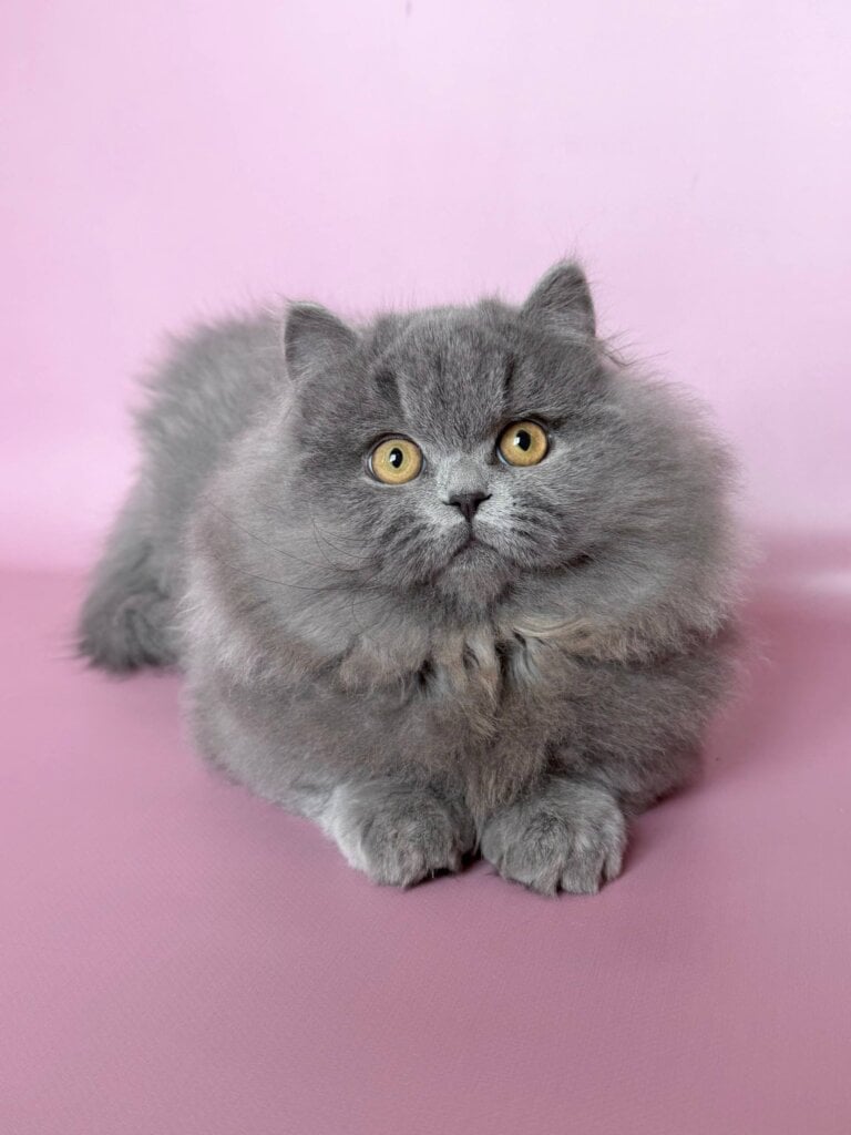 Photo 2026 02 19 20 59 38