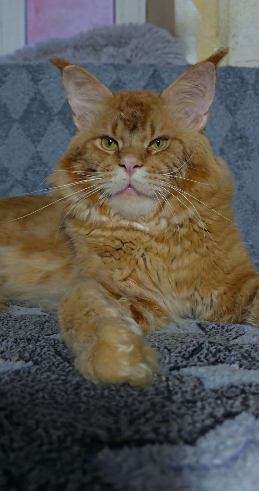 изображение Viber 2025 12 18 22 09 38 424