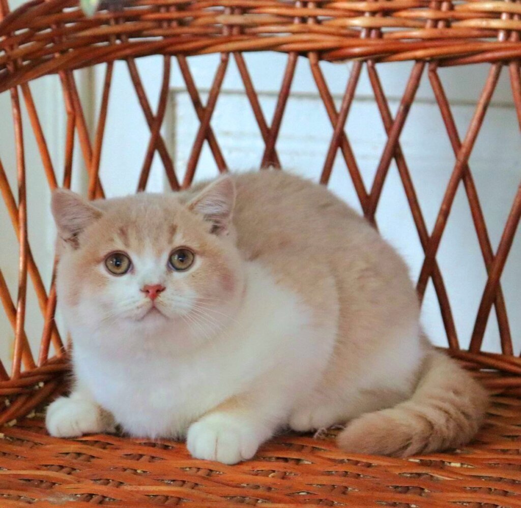 Img 20260128 192355 887