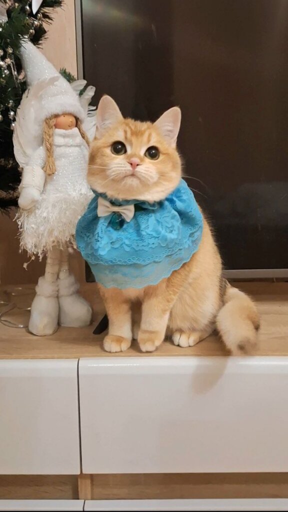 Photo 2026 01 03 22 42 56