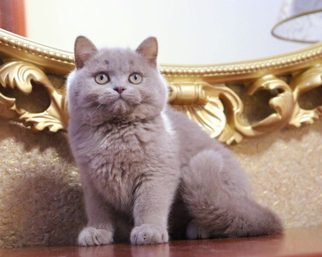 Photo 2026 01 04 09 05 12 4