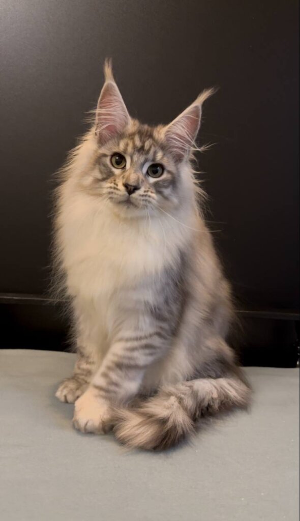 Photo 2026 01 04 12 45 20