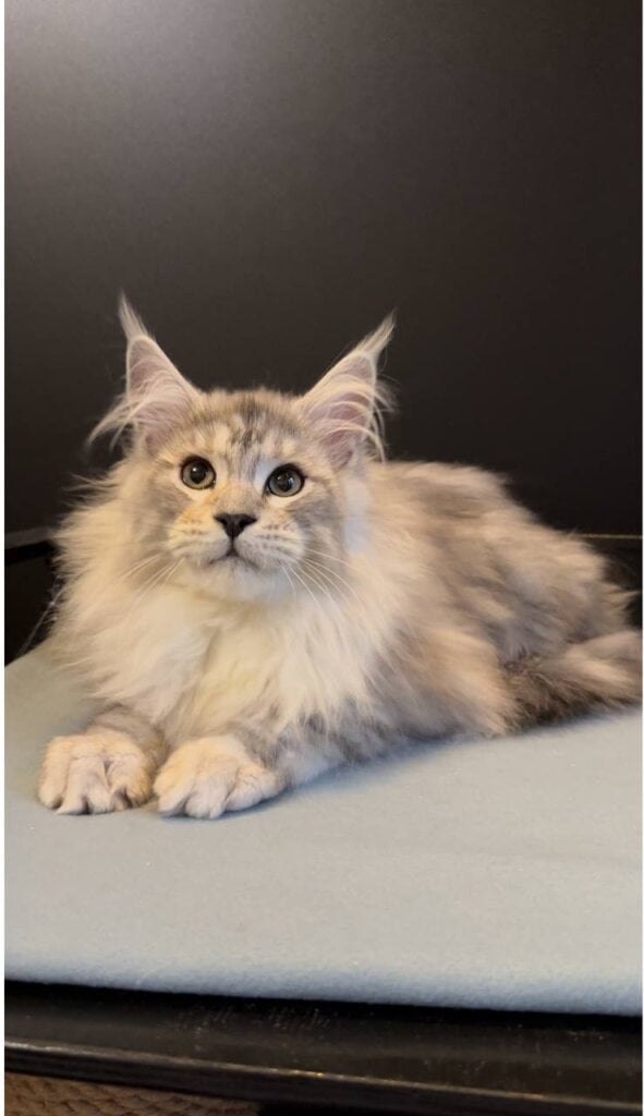 Photo 2026 01 04 13 06 07 2