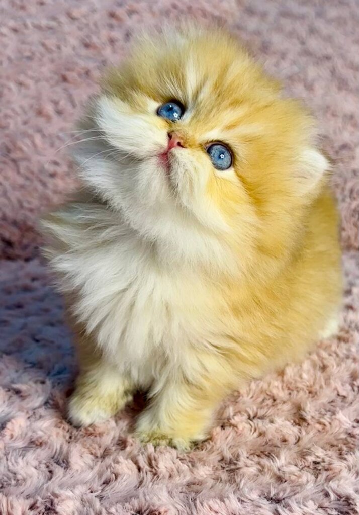 Photo 2026 01 04 13 26 39