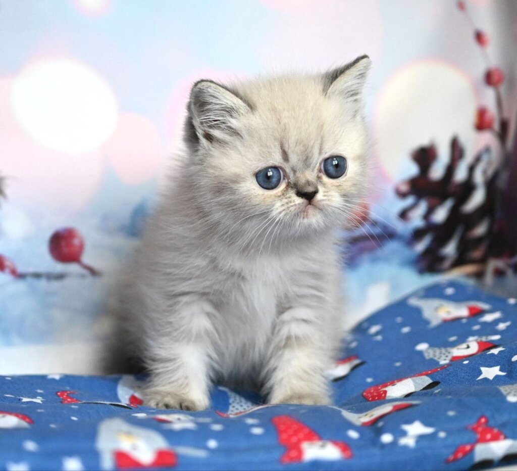 Photo 2026 01 04 22 17 46