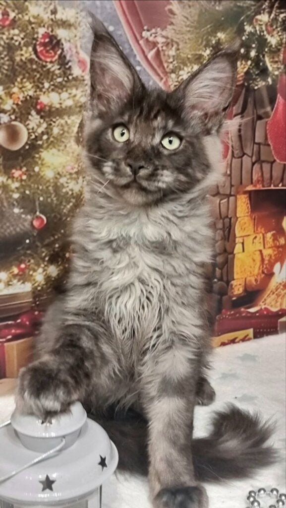 Photo 2026 01 05 16 18 21 4