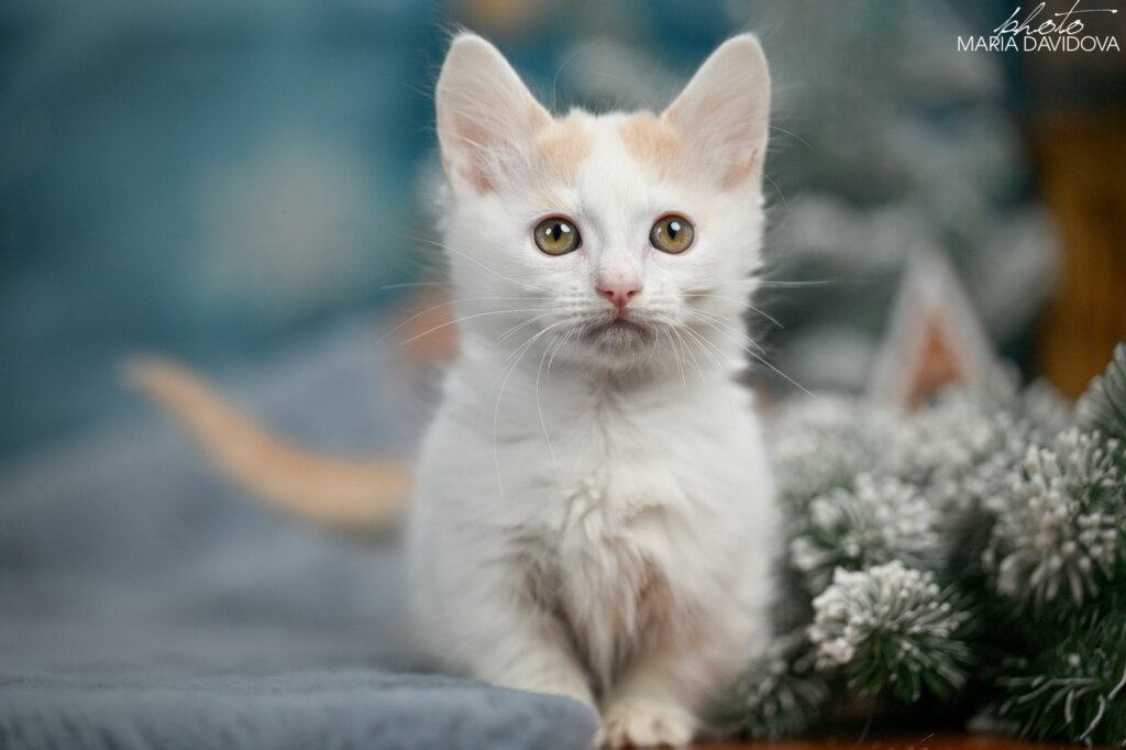 Photo 2026 01 06 11 55 54 4