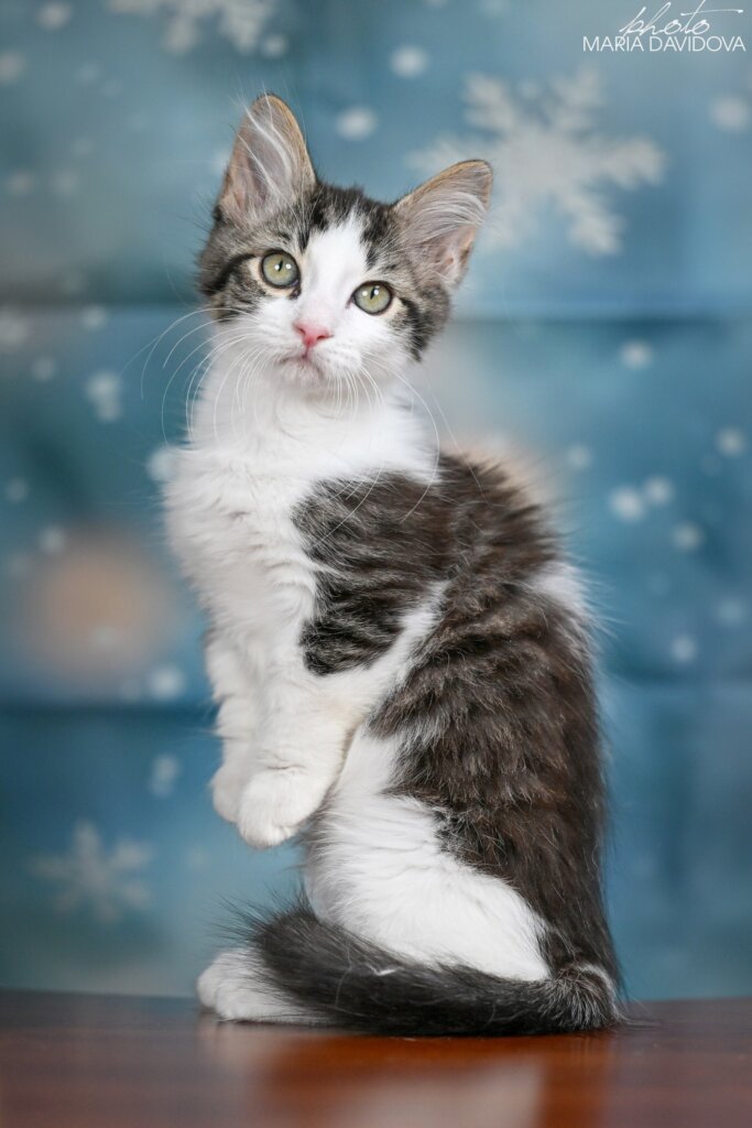 Photo 2026 01 06 11 56 43 4