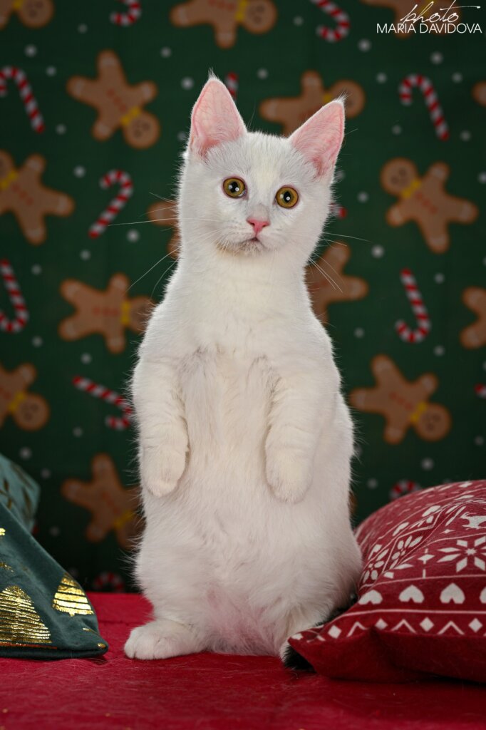 Photo 2026 01 06 12 21 38 3