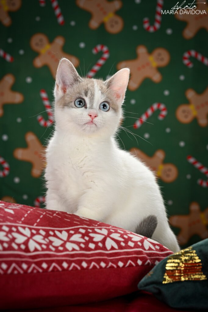 Photo 2026 01 06 13 05 52