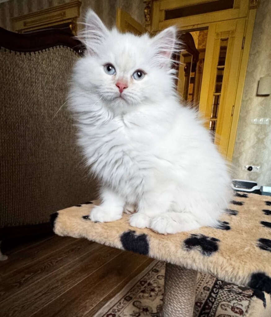 Photo 2026 01 07 12 40 09