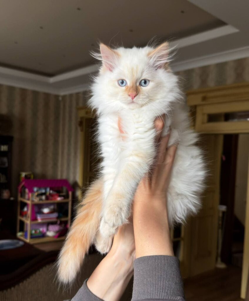 Photo 2026 01 07 12 50 44 2