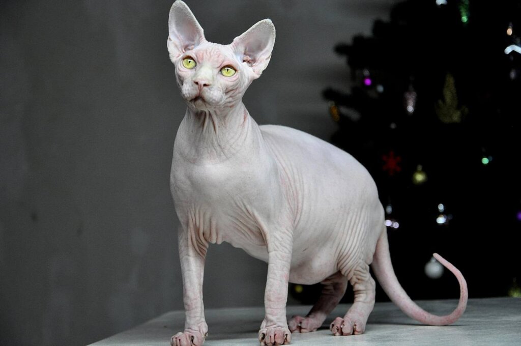 Photo 2026 01 07 17 50 53