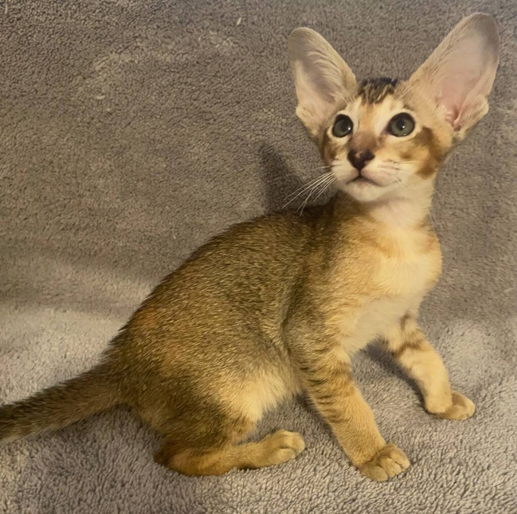 Photo 2026 01 07 18 20 40