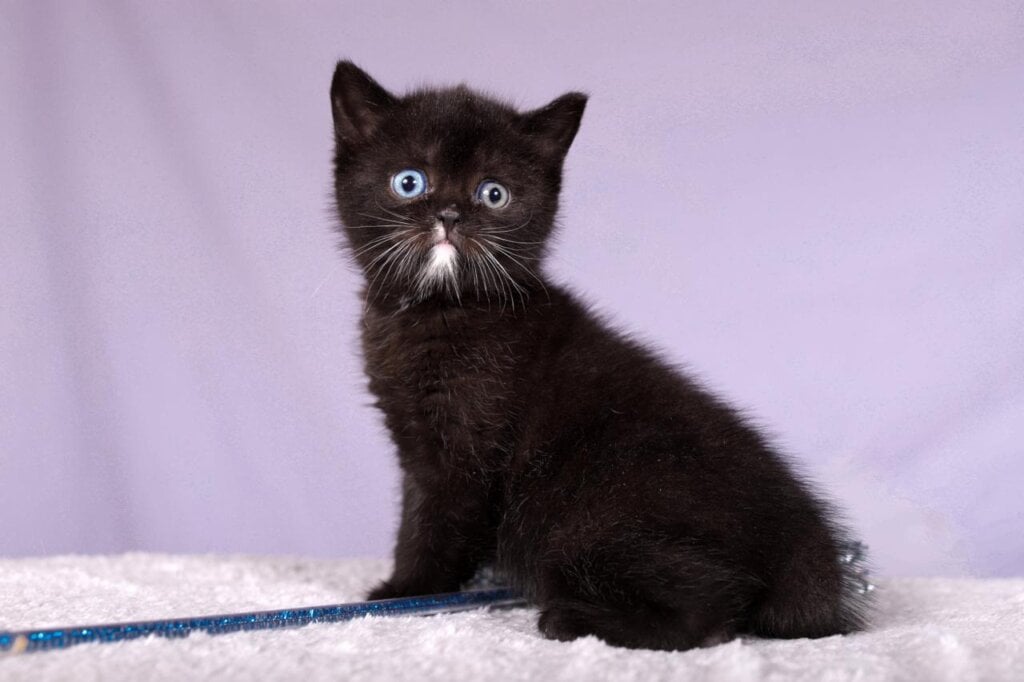 Photo 2026 01 07 22 52 59 3