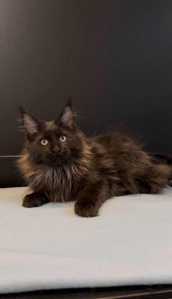 Photo 2026 01 08 19 25 18 2