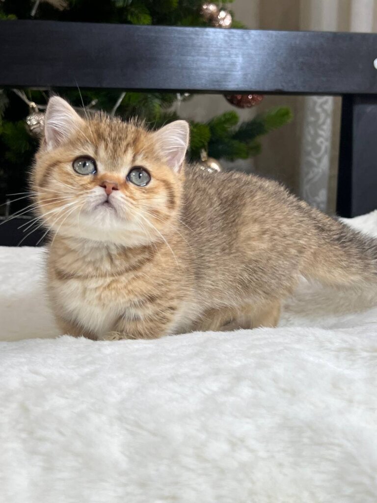 Photo 2026 01 09 15 00 46 2