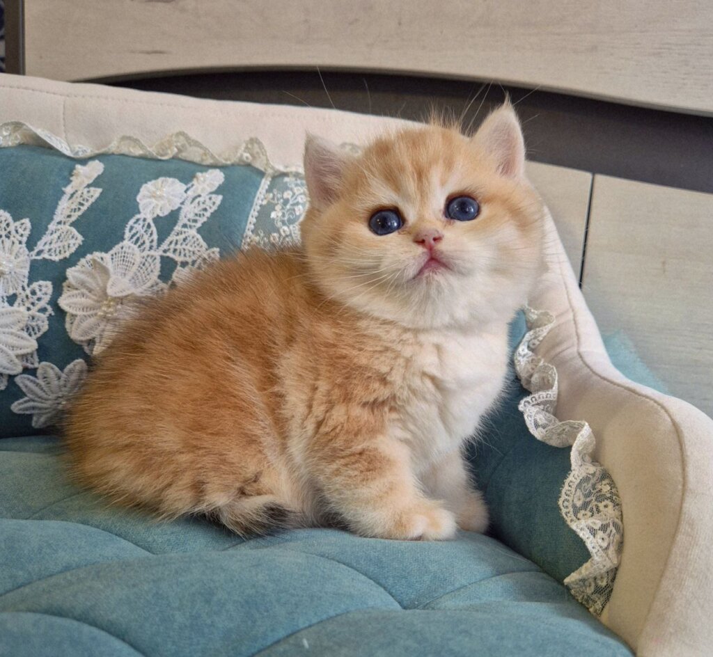 Photo 2026 01 09 17 11 49