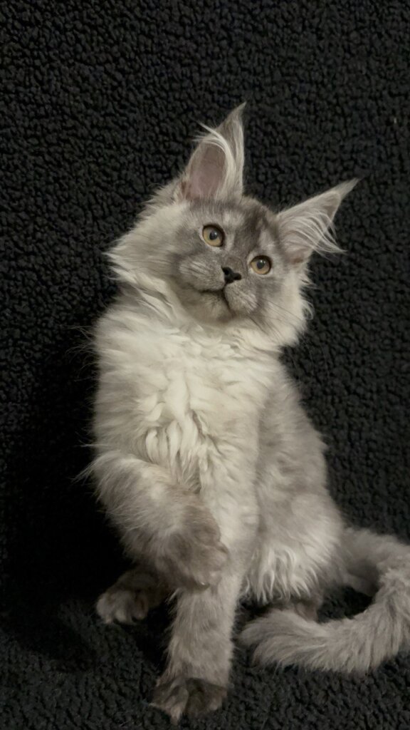 Photo 2026 01 09 17 13 27