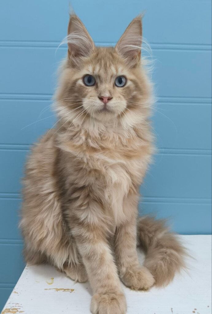 Photo 2026 01 10 20 48 26 2