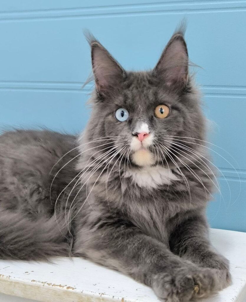 Photo 2026 01 10 20 49 39 5