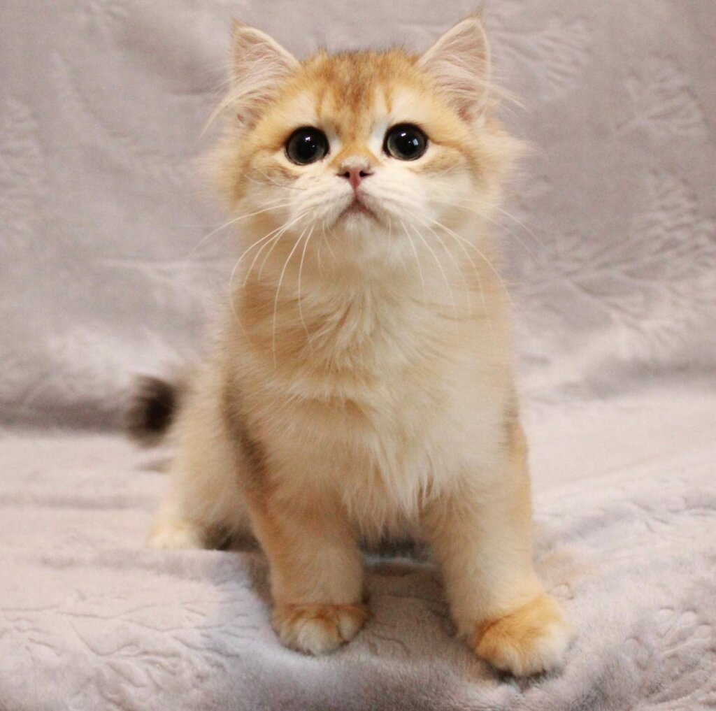 Photo 2026 01 10 21 46 35