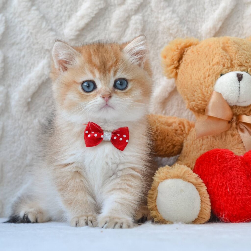 Photo 2026 01 12 18 41 02