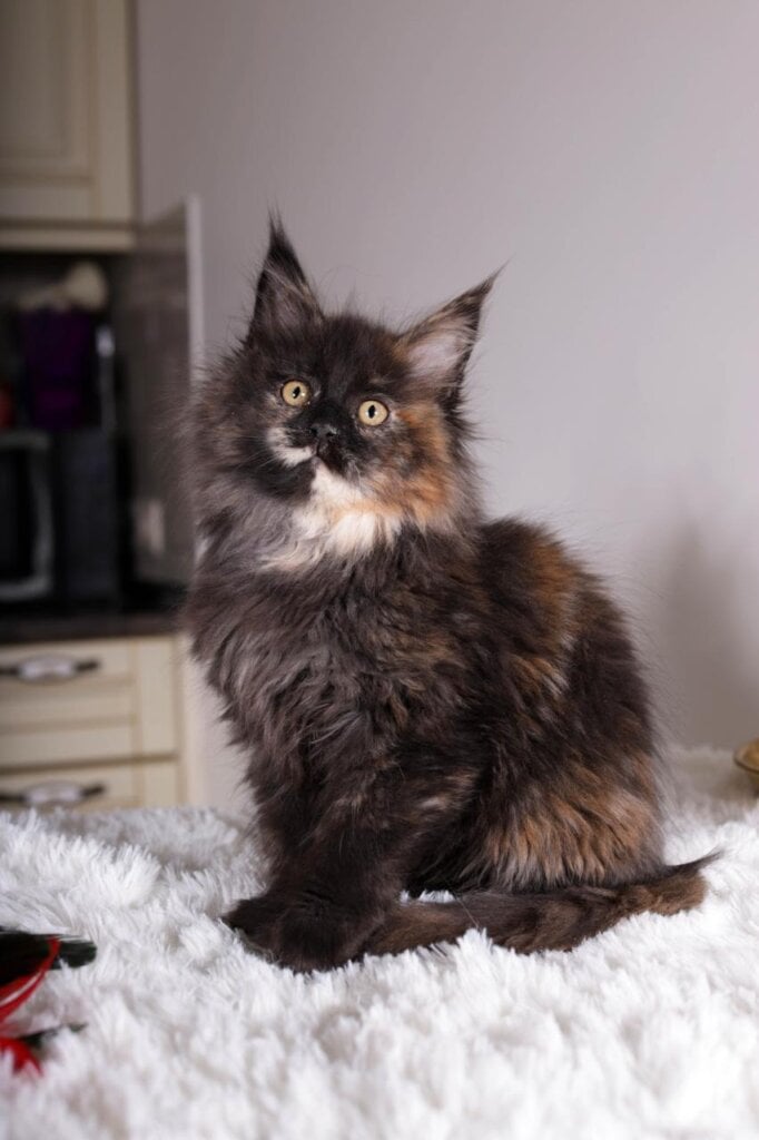 Photo 2026 01 13 16 21 55